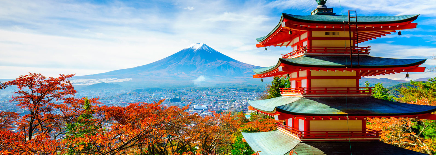 Study in Japan